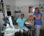 sonografie